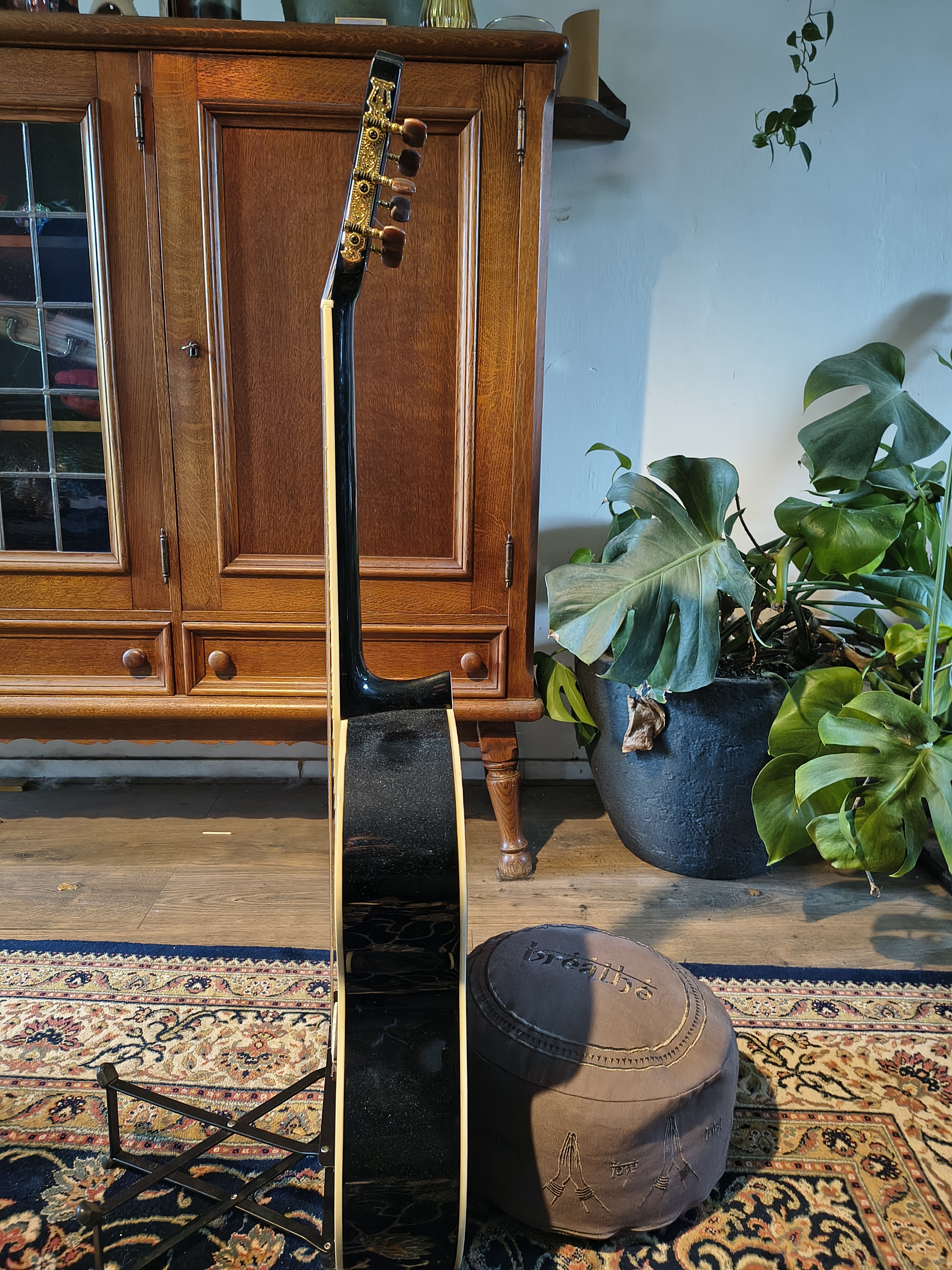 IMG 20260311 132130702 HDR